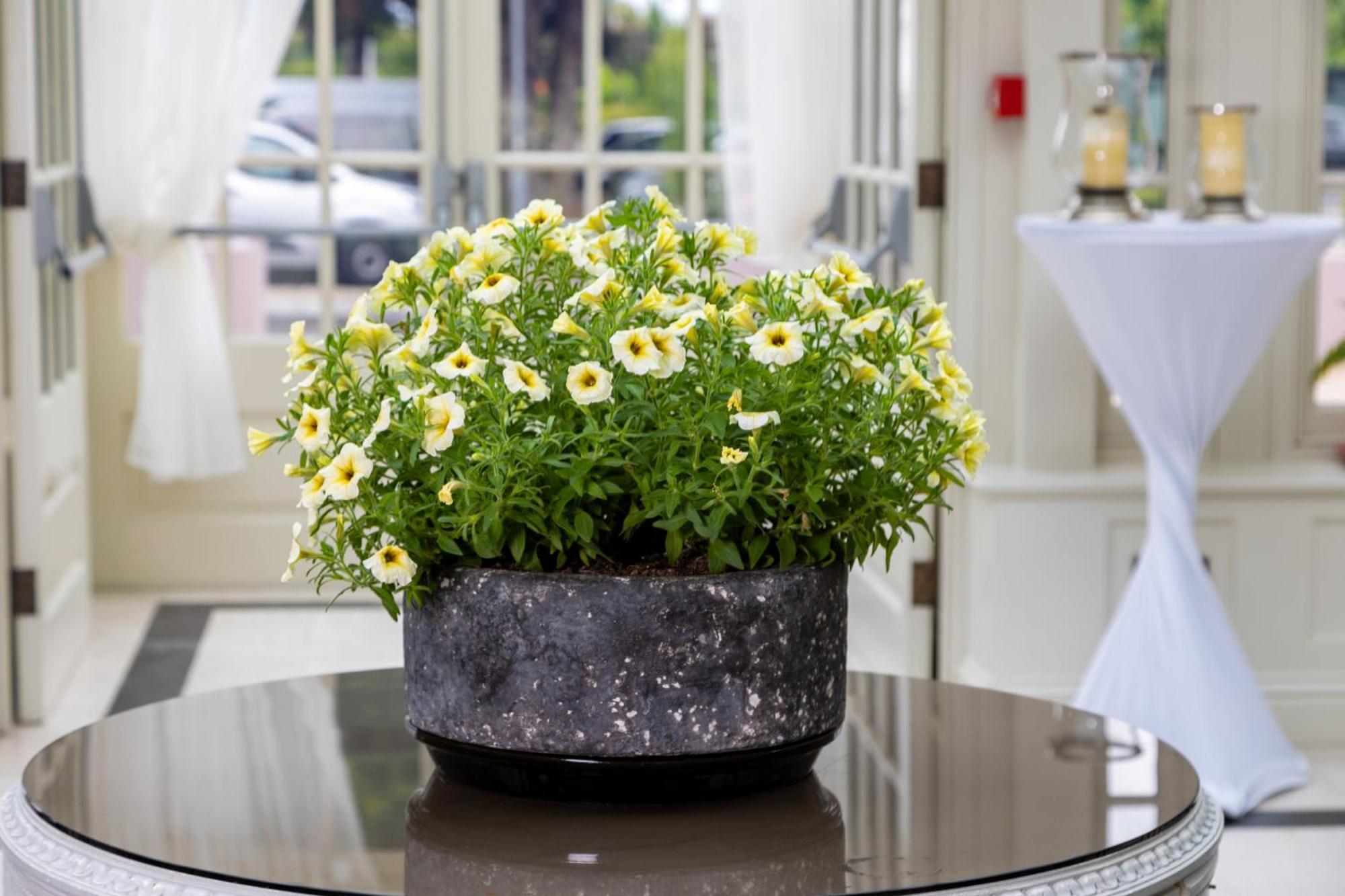 Killarney Heights Hotel Bagian luar foto