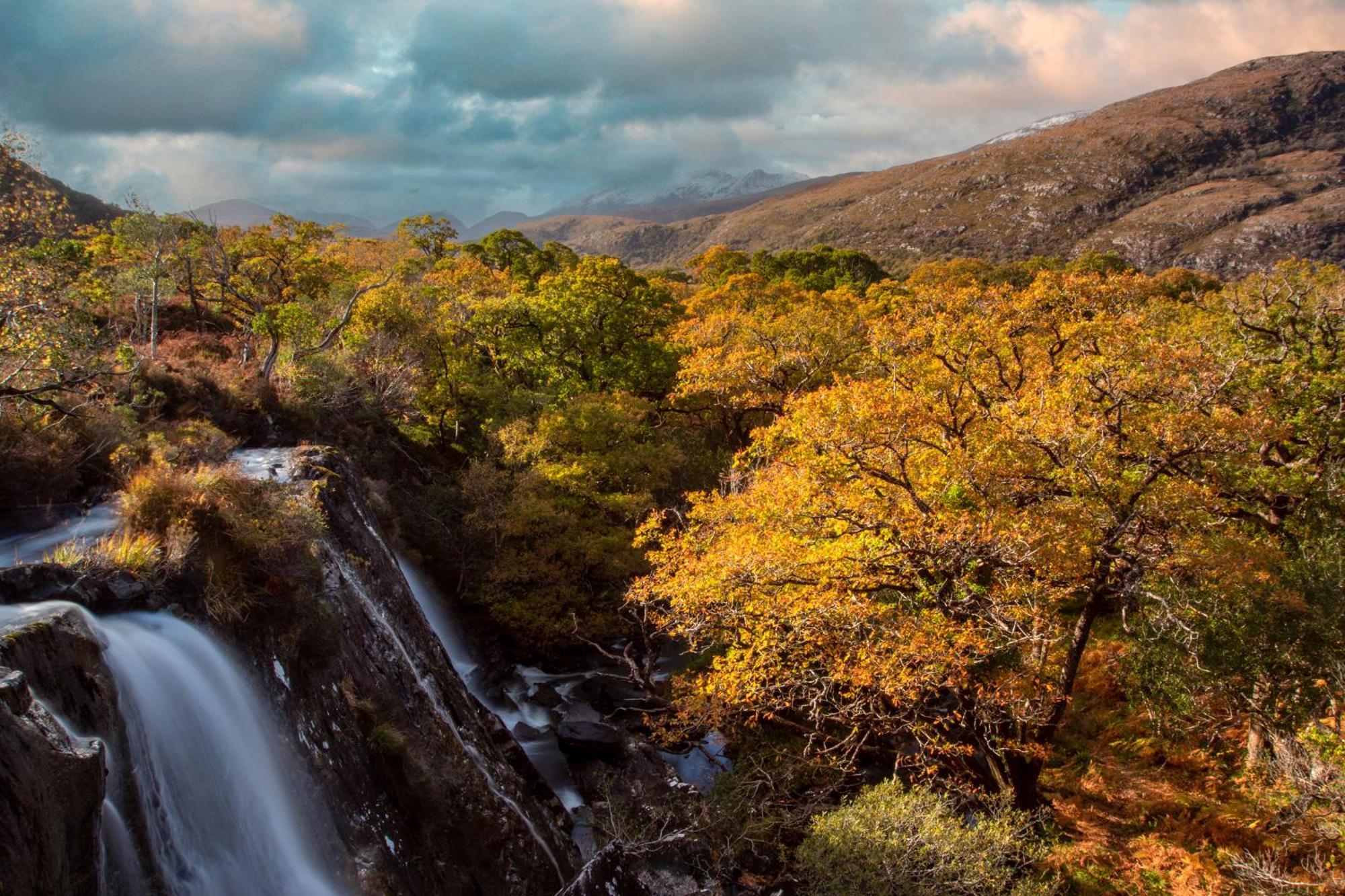 Killarney Heights Hotel Bagian luar foto